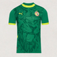 Senegal 2025 Away Jersey