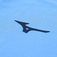 Lazio 25/26 Home Jersey