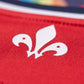 Lille 26/27 Home Jersey