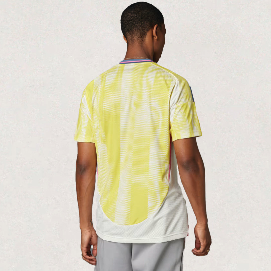 Juventus 24/25 Away Jersey