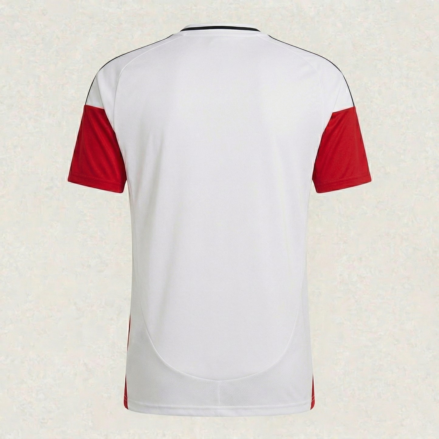 Germany 26/27 Training Jersey